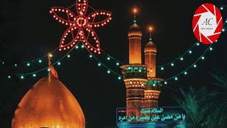 20th Jamadi us Sani in KARBALA | On occasion of Wiladat-e-Janab e Fatima (S.A) | 2020/1441 Hijri