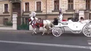 Horses and carriages in Krakow