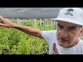 The Best Native Plant Nursery in Texas - Heap's Nursery