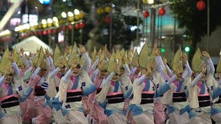 『フィナーレ』のんき連/天水連/さゝ連/若獅子連/葉月連【35th Minami Koshigaya Awa-Odori Dance Festival★第35回南越谷阿波踊り2019】8月25日(土)