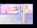 2016年8月15日　第7回　アイカツスターズ！ 非公式大会 1部　対戦トーナメント こっこｖｓのり