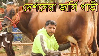 দেশের সবচেয়ে ভালো পার্সেন্টের বাঘাবাড়ী মিল্কভিটার জার্সি পাবেন রাহি ডেইরীত ৪ টি হাই কোয়ালিটির জার্সি