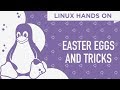 Linux Hands On: Easter Eggs and Terminal Tricks