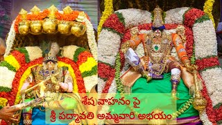 శేష వాహనం పై శ్రీ ప‌ద్మావ‌తి అమ్మ‌వారి అభ‌యం #tiruchanoor #brahmotsavalu #padmavathiammavaru #news