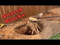 How to Remove a Stump Using a Hand Winch