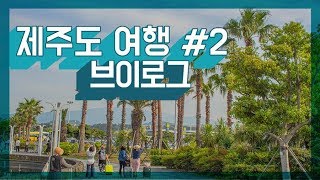 제주도 팸투어 브이로그 #2 너무 오래되서 기억도 안나니 제목은 내멋대로 지을거야