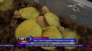 Bea Cukai Gagalkan Penyelundupan Satwa Langka-NET 5