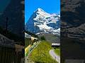 The train ride to the swiss alps #switzerland #nature #travel #youtubeshorts #suisse #svizzera