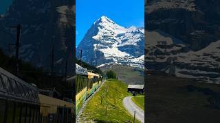 The train ride to the swiss alps #switzerland #nature #travel #youtubeshorts #suisse #svizzera