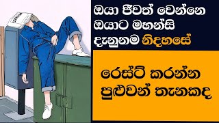 ඔයා මහන්සි ඇරියොත් ඔයාටත් මේකමද වෙන්නේ - The Crow and the Rabbit: Hard Work vs. Unseen Dangers