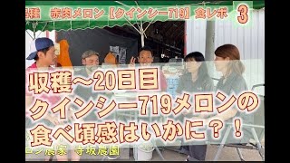 赤肉メロン新品種【クインシー719】収穫～20日目（追熟20日目）の食レポ：北海道 富良野 メロン農家の寺坂農園