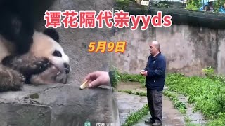 5 9上午谭爷爷对花花的宠溺事件原委，小叶子也超乖超可爱呀【小柒V5】