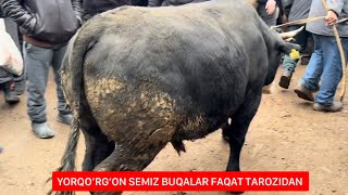 YORQO’RG’ON OPTOM  CHORVA BOZORI FAQAT TAROZIDAN SOTILGAN VARIANTI.