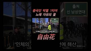 윤석열 탄핵 체포 집회 중국인 박멸 1티어 노래 자유의 꽃 自由花