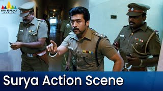 Surya Powerful Action Scene | Singam | Latest Telugu Movie Scenes | Anushka, Hansika@SriBalajiMovies
