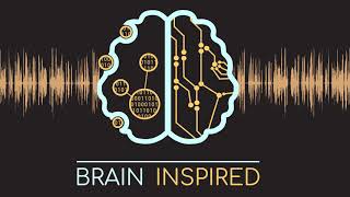 BI 095 Chris Summerfield and Sam Gershman: Neuro for AI?