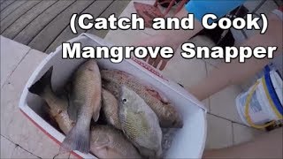 Fishing the Florida Keys: MANGROVE SNAPPER (CATCH \u0026 COOK) Islamorada Part 1