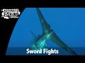 Ultimate Fishing With Matt Watson - Episode 14 - Sword Fights