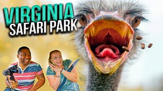 Virginia Safari Park - Guess What We Saw!