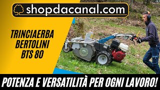 Trincia Bertolini BTS 80: Potenza e Affidabilità per Lavorare Su Ogni Terreno!