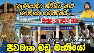 හරියට මඩු මෑණියන්ට බාර වෙන්න| Traval with lokkaiya | traval to mannar madu church | traval vlog 2022