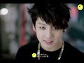 ছোট্ট এক রাজার গল্প biography u0026 lifestyle of bts jk jungkook 전정국 2024 বাংলায়