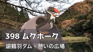 【ポケGO動くポケモンずかん】398ムクホーク｜諭鶴羽ダム・憩いの広場｜あわじ花へんろ第三十五番花の札所｜鴻雁北(こうがんかえる)｜七十二候｜第十四候｜AR動画