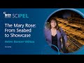 The Mary Rose: From Seabed to Showcase | Helen Bonser-Wilton | #SCIPEL 2017 | SCI