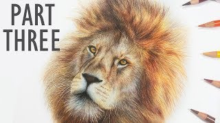 REAL TIME How To Draw a LION with COLORED PENCIL | Part 3