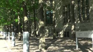 L'édifice et ses environs -- Le jardin d'hiver (L'allée) du Musée des beaux-arts du Canada