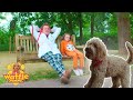 Waffle The Wonder Dog Full Episode Compilation For Kids! | WildBrain Zigzag