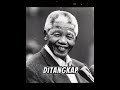 Nelson Mandela: Warisan Keberanian dan Kepemimpinan #shrots #story #history #africa #nelsonmandela