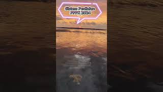 Sistem Penilaian PPPK Guru 2024 #pppkguru #pppk #shorts #shortvideo #sunset #senja