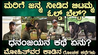 ಕಾಡಾನೆ ಭೀಮನ ತಂಡಕ್ಕೆ ಜೂನಿಯರ್ ಕರಡಿ ? ಮರಿ ಹಾಕಿದ ಓಲ್ಡ್ ಬೆಲ್ಟ್ ಬಿಟಮ್ಮ ತಂಡ! ಧನಂಜಯ ಕಾರ್ಯಾಚರಣೆ ಕಥೆ? ಮೋಹಿತ!