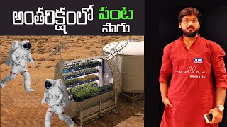 NASA harvested radishes on the Space Station /అంతరిక్షంలో పంటల సాగు.. / TRUENEWS INFONET