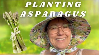 Planting Asparagus Video 2023