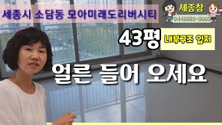 151.세종시3생활권 금강변에 위치한소담동모아미래도리버시티 43평 구조 평면 입지 소개