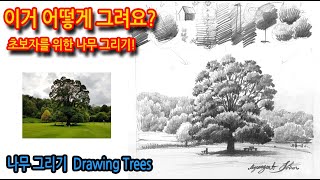 티노씨드로잉 [9강]공원의 나무 그리기 Drawing Trees
