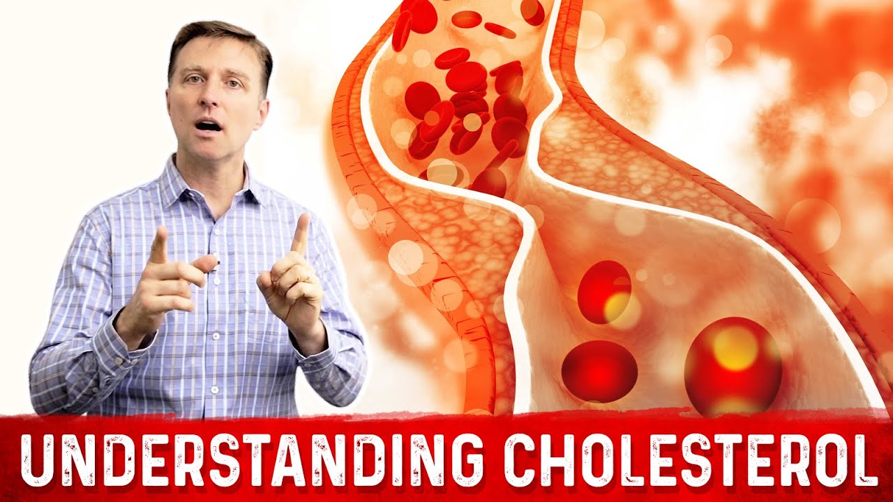 How To Read And Understand Your Cholesterol Levels - YouTube