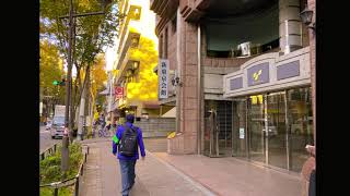 色づく秋の東京・杉並区「中杉通り」～地下鉄・南阿佐ヶ谷駅からJR阿佐ヶ谷駅まで～