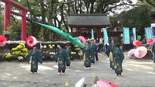 人吉よさこい祭り　人吉よさこい銀翔会