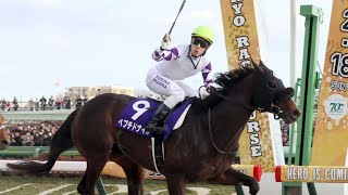 【フェブラリーS2025ほか】伊吹雅也のピックアップ競馬データ～メイン「1点」分析編｜競馬ニュース｜競馬予想のウマニティ