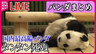 【パンダまとめ】「タンタン」天国へ旅立つ 献花台設置 神戸・王子動物園 / 「シャンシャン」中国に返還/ シャオシャオとレイレイ2歳に 　など　ニュースまとめライブ（日テレNEWSLIVE）