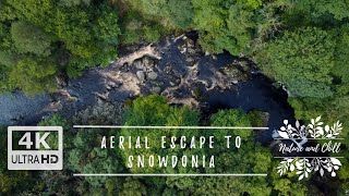 Aerial Escape to Snowdonia: River and Forest Serenity