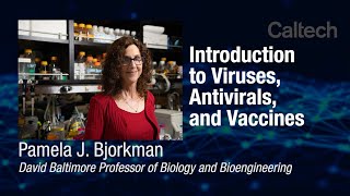 Intro to Viruses, Antivirals, and Vaccines - Dr. Pamela Bjorkman