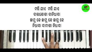 Chhamu He | Sad Shree Jagannath Bhajan | Mohammad Aziz | Harmonium Notation