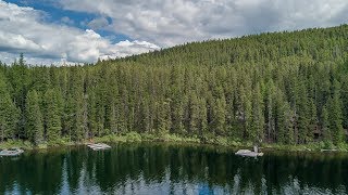 Lindbergh Lake Road, Condon MT