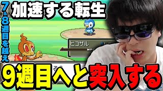 【悲報】おにや、あまりにも凶悪なペンギンに遭遇し二度も人生を終えてしまう・・・・『2023/6/18』 【o-228 おにや 切り抜き ポケモン プラチナ人生縛り】