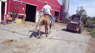 M4H08660.MP4