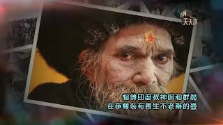 大千世界|印度大壺節 億人入河洗罪孽 《有報天天讀》20190117